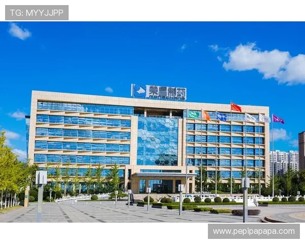 遇到凯发集团网页版登录不了怎么办？详细排查步骤与解决技巧